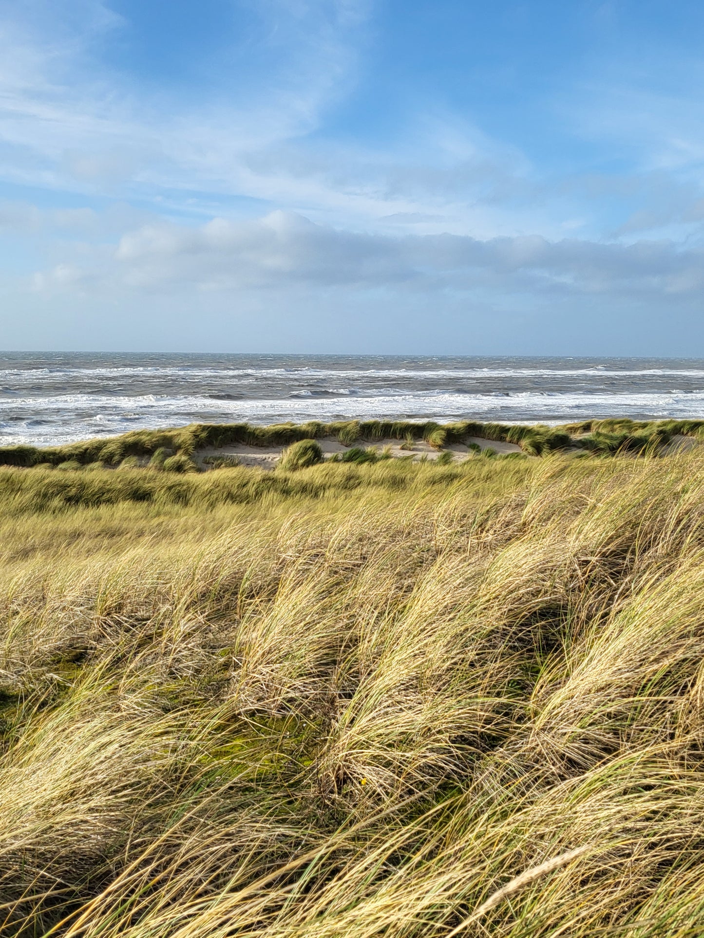 Dünenascheverstreuung in den Dünen von Petten aan Zee