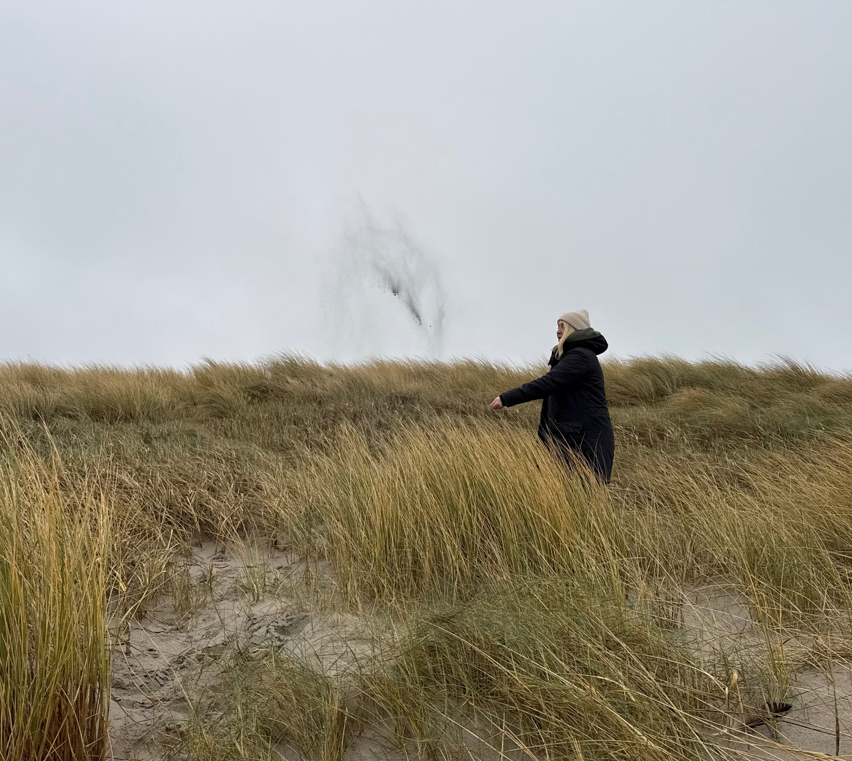 Frei im Wind, vom Sand getragen TreibSand®