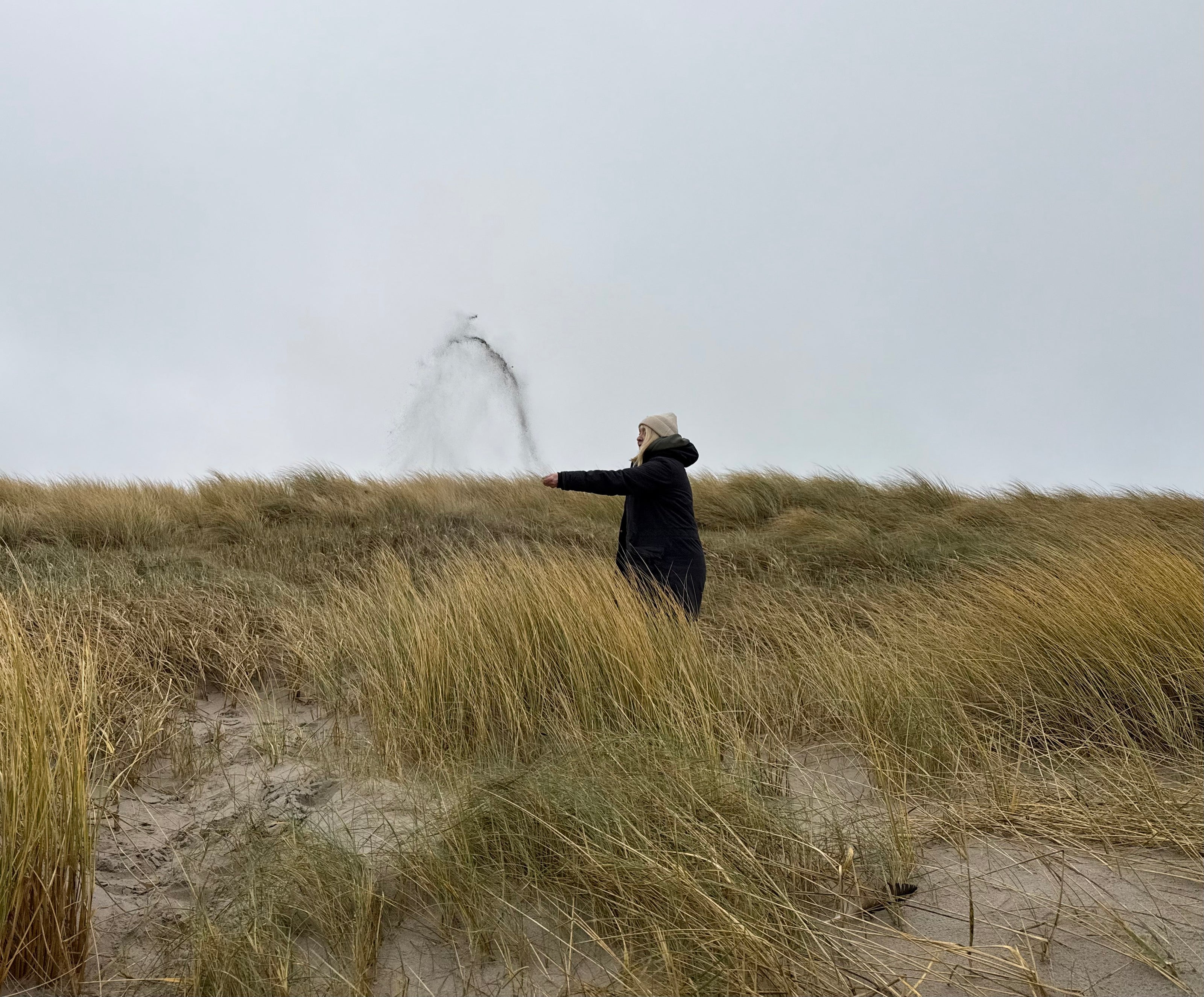 Verstreuung in den Dünen TreibSand