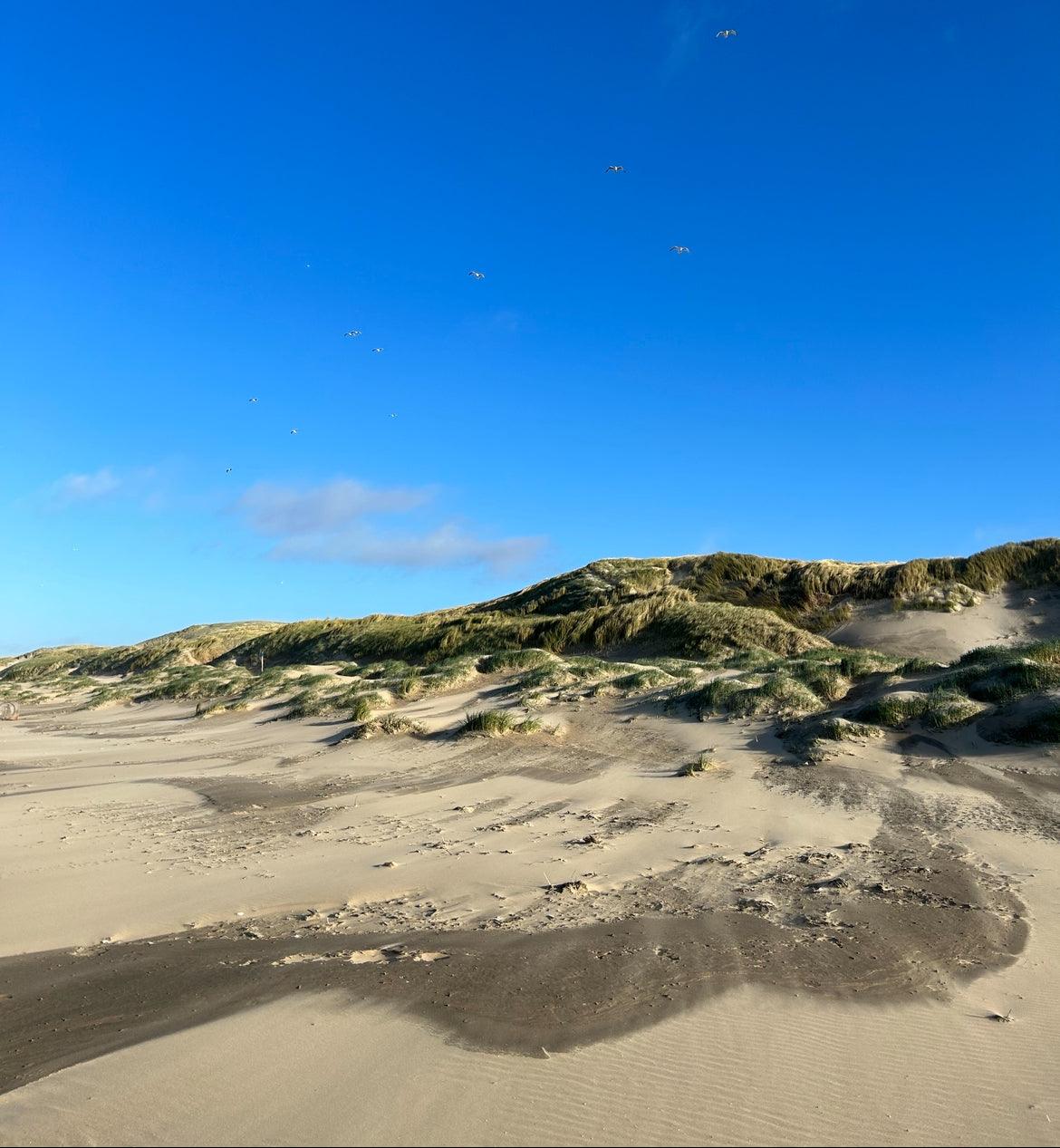 Ascheverstreuung Julianadorp aan Zee
