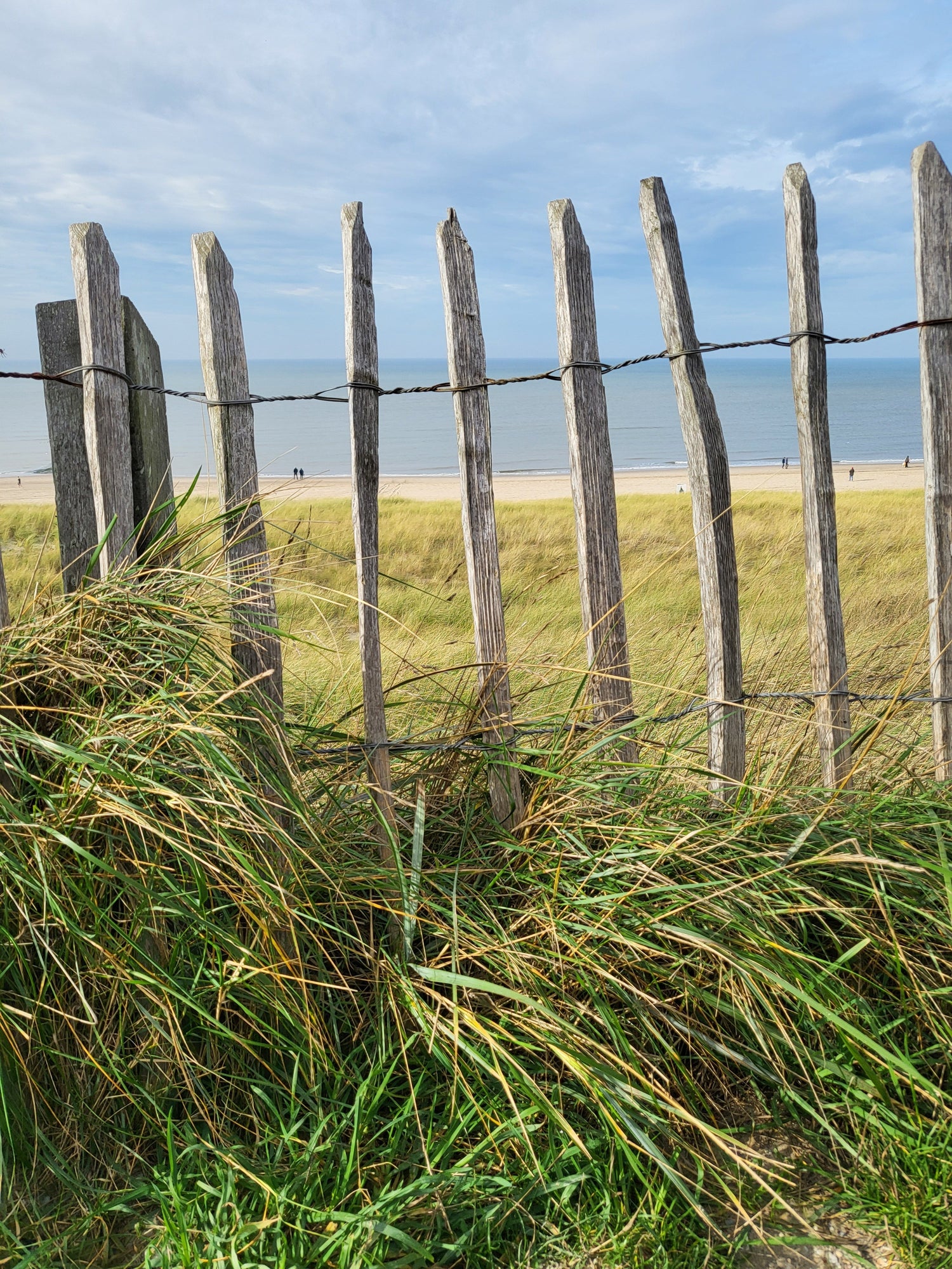 Ascheverstreuung Dünen Holland Dünenbestattung Dünenbestattungen Asche verstreuen