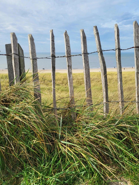 Ascheverstreuung TreibSand Bergen aan Zee